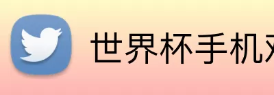 世界杯手机观看平台 logo